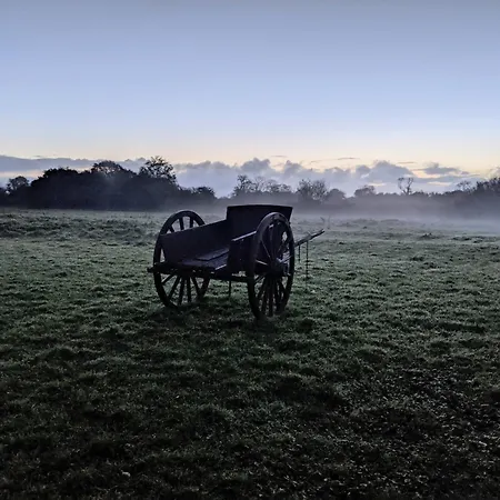 Du Coq A La Ferme De Franqueville Bed and Breakfast 3*