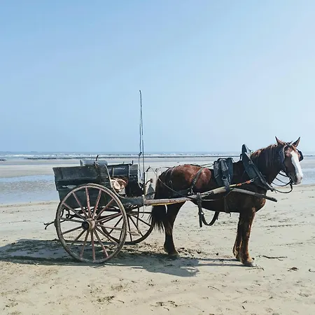 Du Coq A La Ferme De Franqueville Bed and Breakfast Sainte-Marie-du-Mont (Manche)