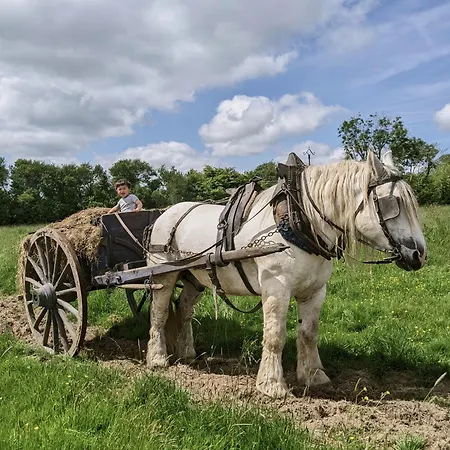 Bed and Breakfast Du Coq A La Ferme De Franqueville
