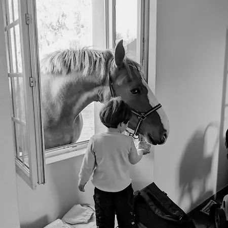 Du Coq A La Ferme De Franqueville Bed and Breakfast 3*