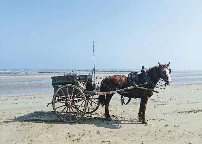 Du Coq A La Ferme De Franqueville Bed & Breakfast Sainte-Marie-du-Mont (Manche)
