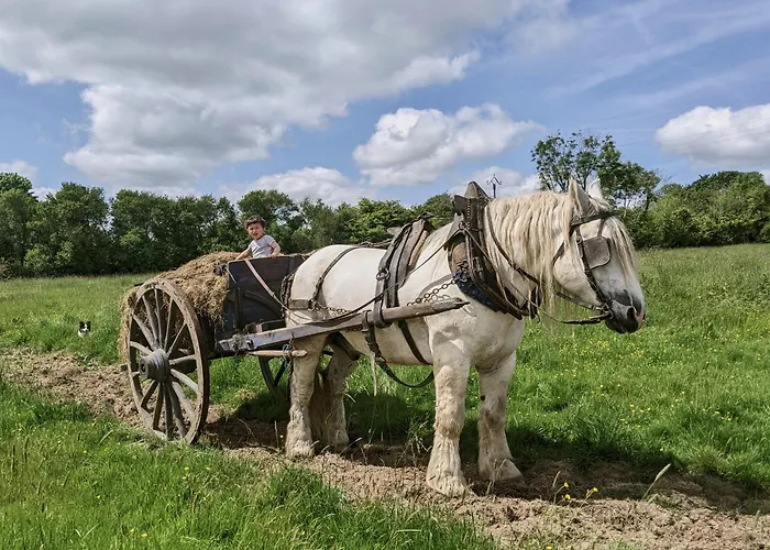 Bed & Breakfast Du Coq A La Ferme De Franqueville