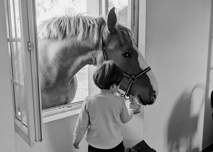 Du Coq A La Ferme De Franqueville Bed & Breakfast 3*