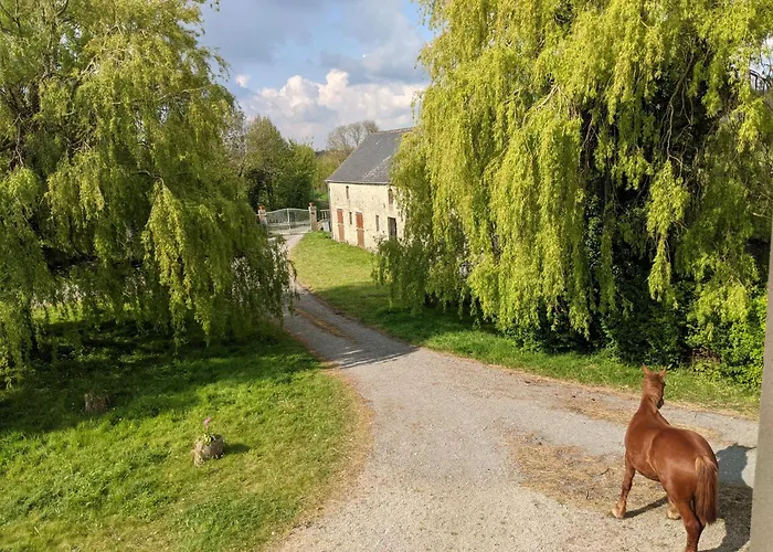 Du Coq A La Ferme De Franqueville