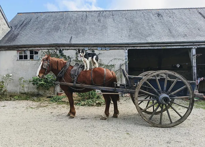 Du Coq A La Ferme De Franqueville Bed & Breakfast Sainte-Marie-du-Mont (Manche)